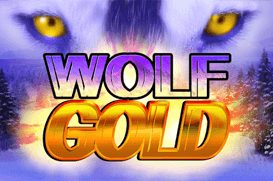Wolf Gold Kometa Casino